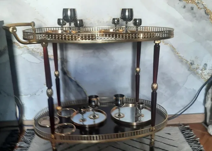 Séjour chez l'habitant Stylish Charm Downtown Podgorica